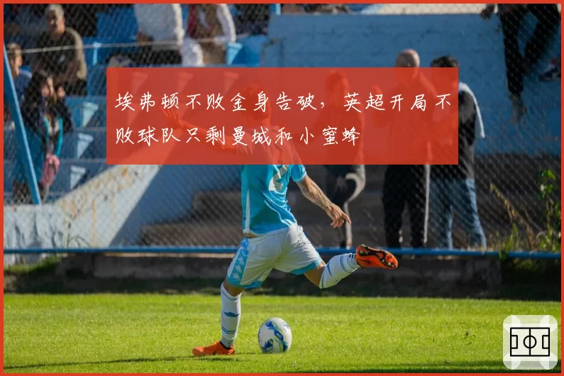 埃弗顿不败金身告破，英超开局不败球队只剩曼城和小蜜蜂