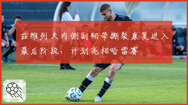 兹维列夫内侧副韧带撕裂康复进入最后阶段，计划亮相哈雷赛