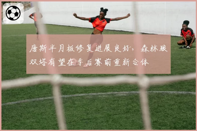 唐斯半月板修复进展良好，森林狼双塔有望在季后赛前重新合体